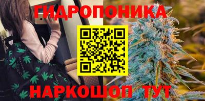 jwh Гай