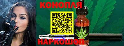 молекула духа Гатчина