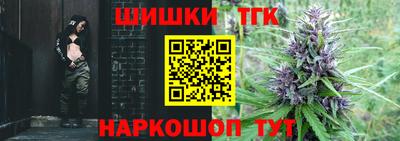 молекула духа Гатчина