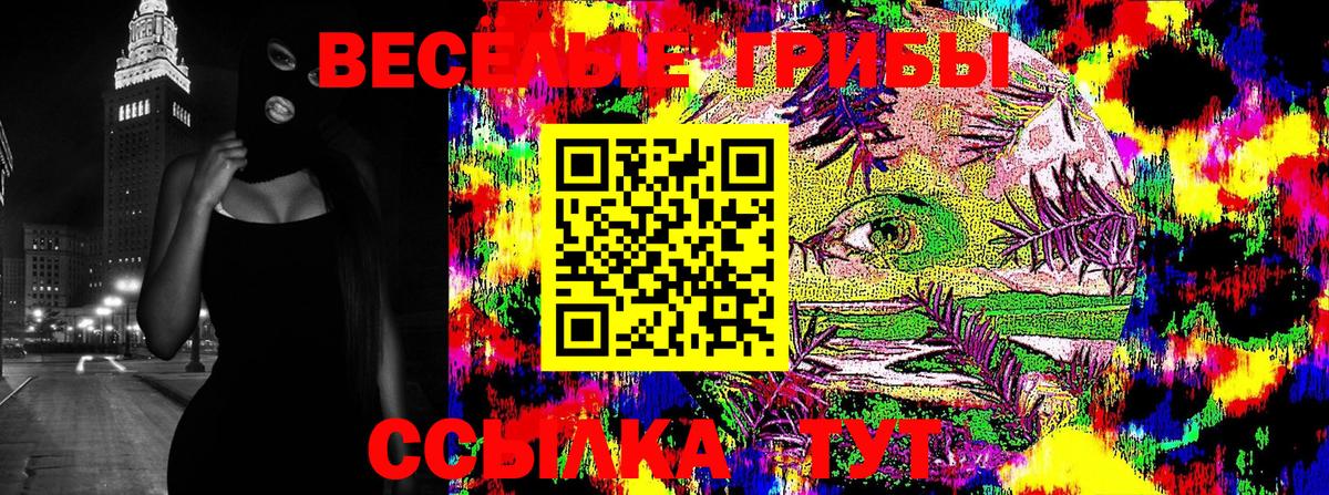 Бутурлиновка  наркошоп  Вход с VPN  Галлюциногенные грибы Cubensis 