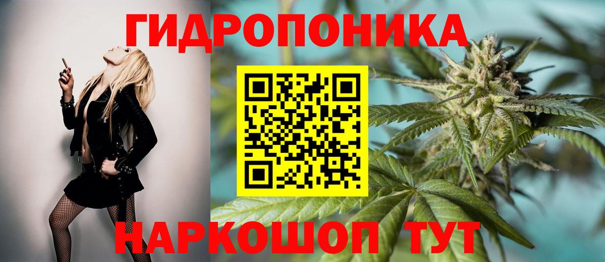 Каннабис план  Бошки Шишки White Widow  МАРИХУАНА марихуана  Конопля планчик  Бутурлиновка  Вход с VPN 
